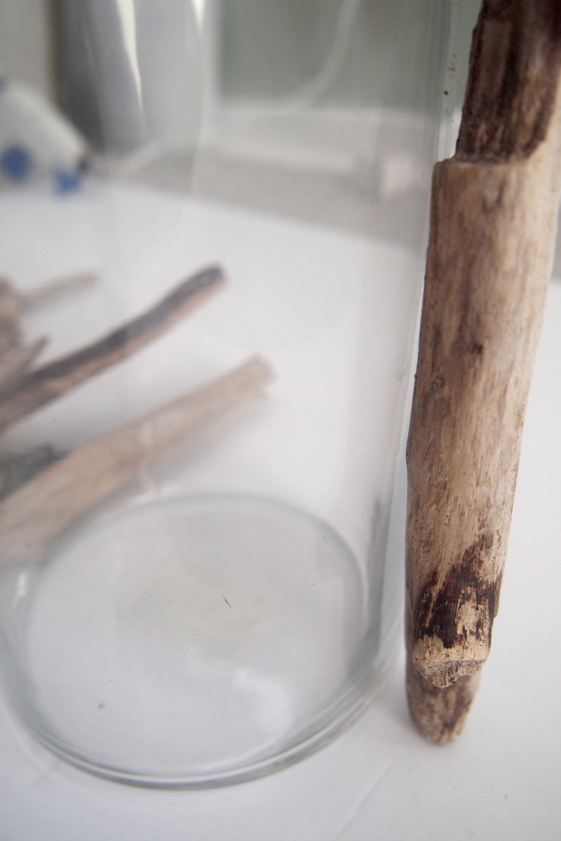 diy-driftwood-candleholders-5