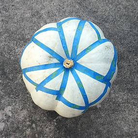 diy-painted-pumpkin-ideas 5