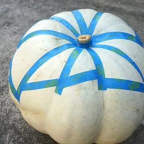 diy-painted-pumpkin-ideas 6