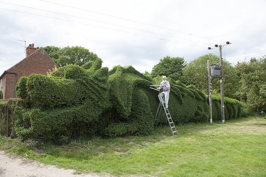 dragon-topiary-by-john-brooker-1