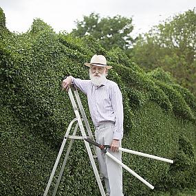 dragon-topiary-by-john-brooker-3