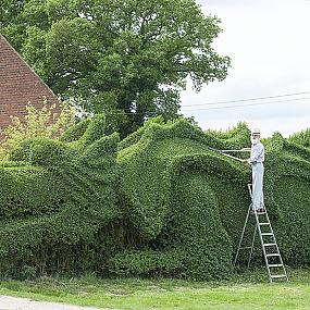 dragon-topiary-by-john-brooker-4