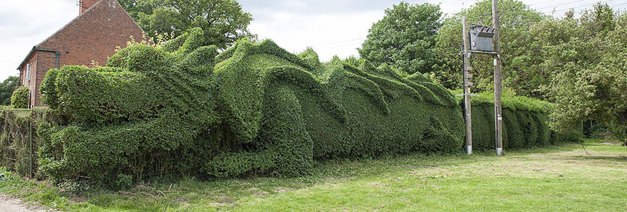 dragon-topiary-by-john-brooker-5