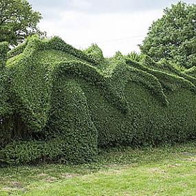 dragon-topiary-by-john-brooker-5