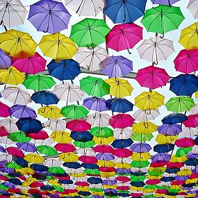 floating-umbrellas-canopy-aqueda-9