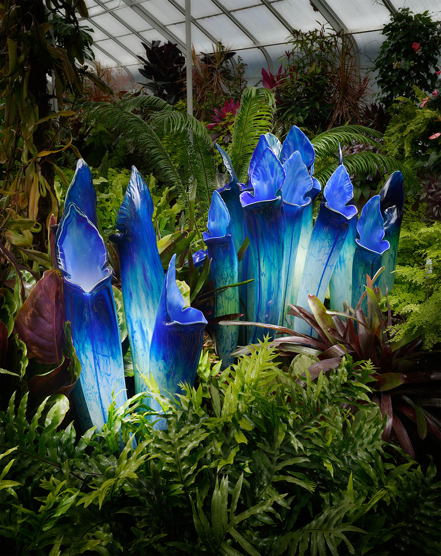 giant-glass-flowers-jason-gamrath-6