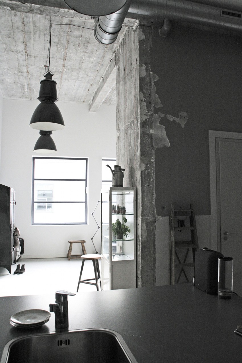 jason-herings-loft-renee-arns-8