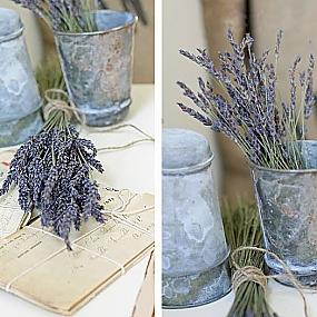 lavanda-suggest-blogpost-12