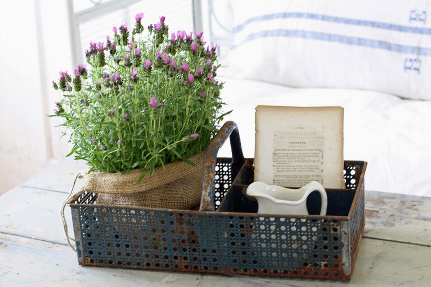 lavanda-suggest-blogpost-17