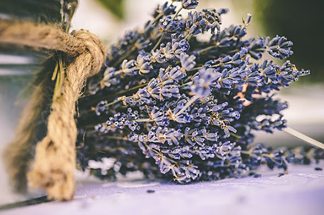 lavanda-suggest-blogpost-29