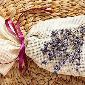 lavanda-suggest-blogpost-35