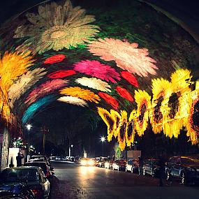 light-festival-vivid-sydney-1