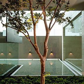 ml-house-gantous-arquitectos-9