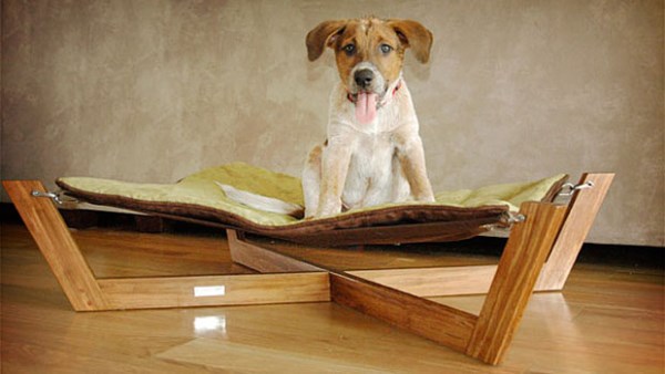 modern-pet-dog-cat-decor-9