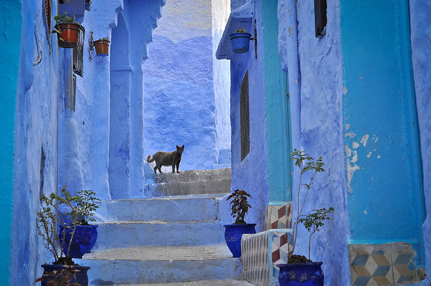 morocco-blue-walls-town-chefchaouen-2