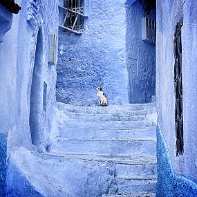 morocco-blue-walls-town-chefchaouen-5