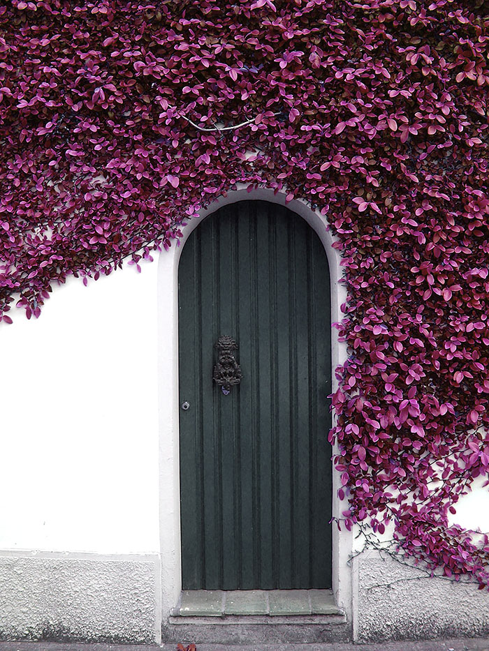 most-beautiful-doors-the-world-11