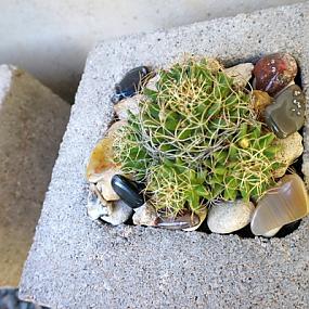 natural-wonders-collection-design-7