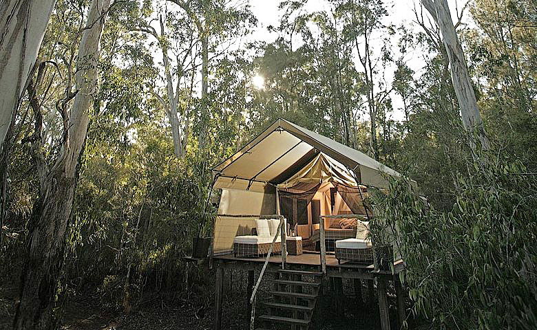 Отель Paperbark Camp в Австралии