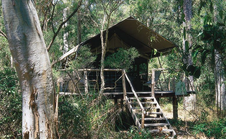 Отель Paperbark Camp в Австралии