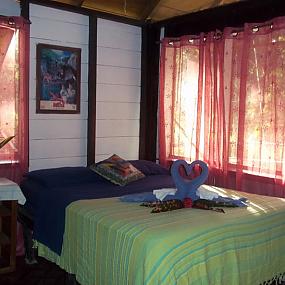 parrot-nest-lodge-beliz-6