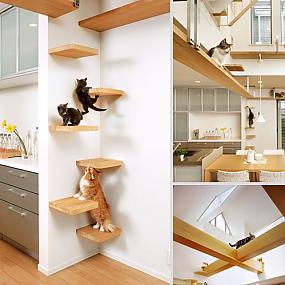 pet-cats-dogs-furniture-idea-24