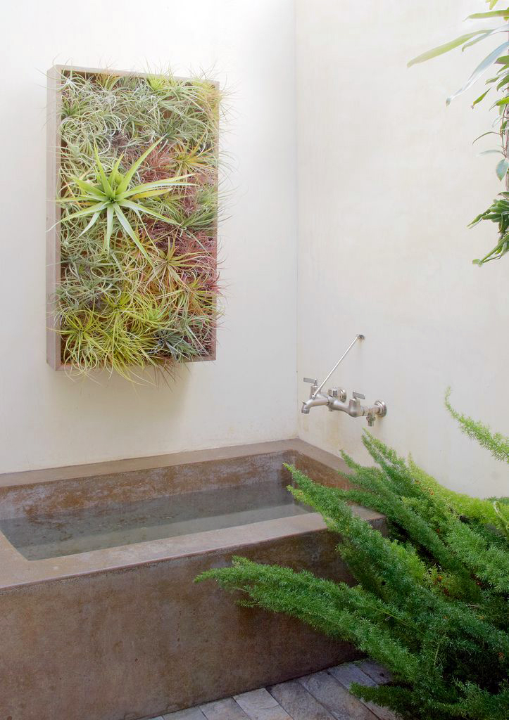plants-suit-best-bathroom-26