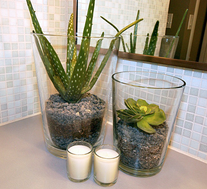 plants-suit-best-bathroom-5
