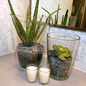 plants-suit-best-bathroom-5