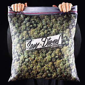 rest-marijuana-giant-stash-1