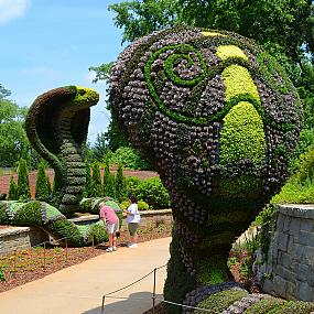 scorptures-atlanta-botanical-gardens-9