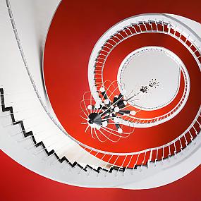 spiral-staircases-photography-19