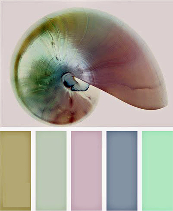 summer-lights-colors-palitras-47