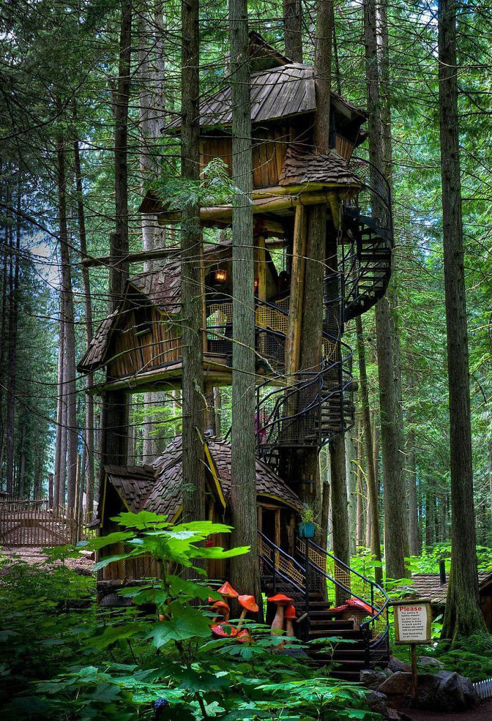 treehouses-all-over-world-1