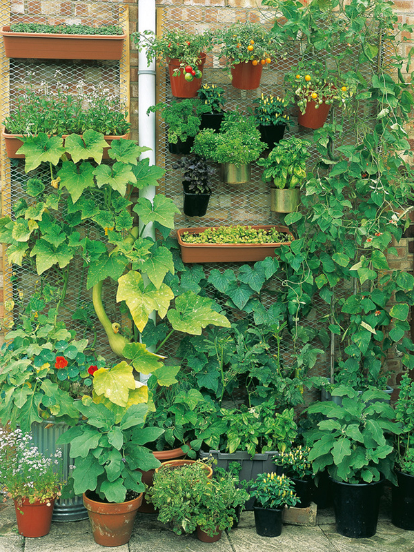 unique-homes-garden-ideas-5
