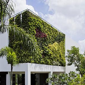 vietnam-green-wrapped-villa-14