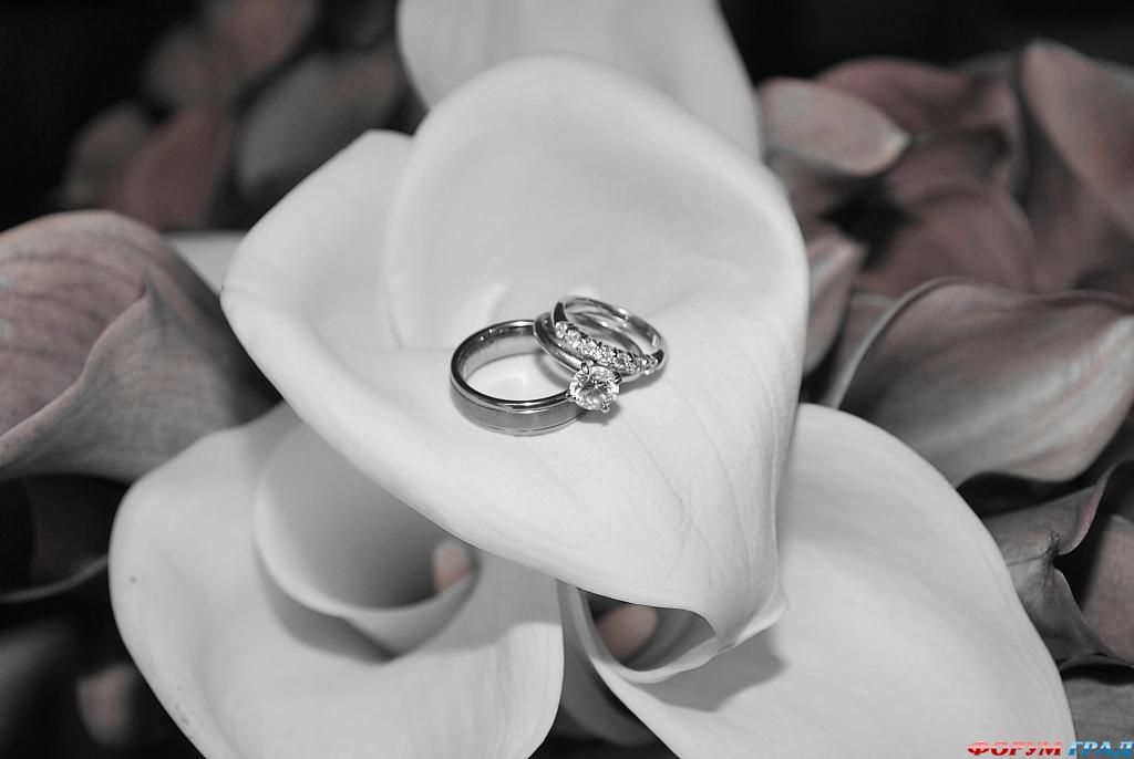 Кольца любви