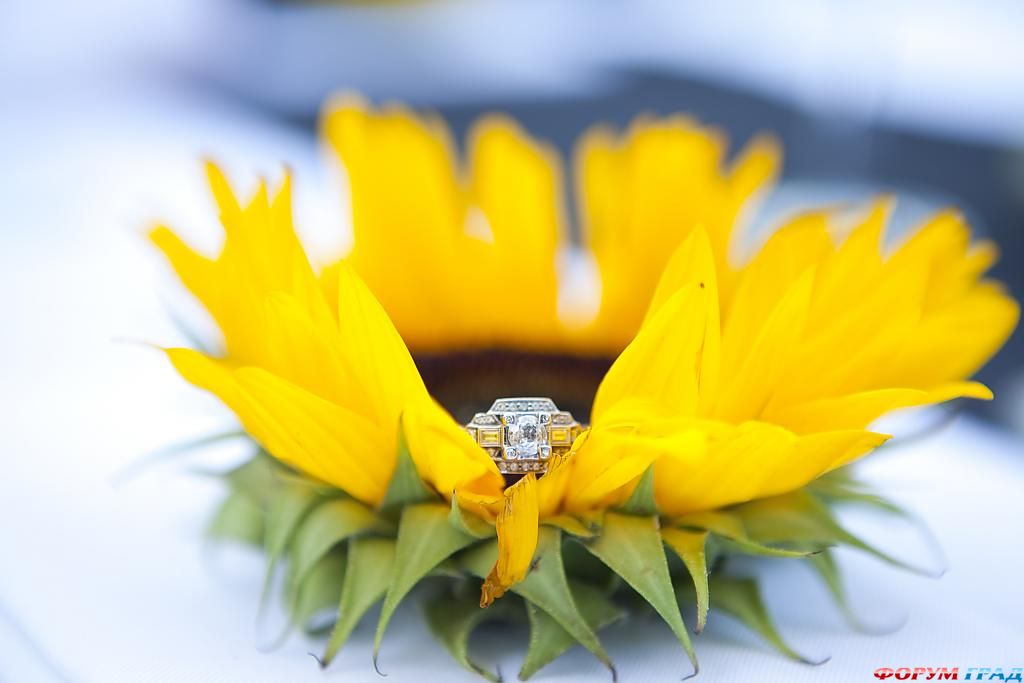 Кольца любви