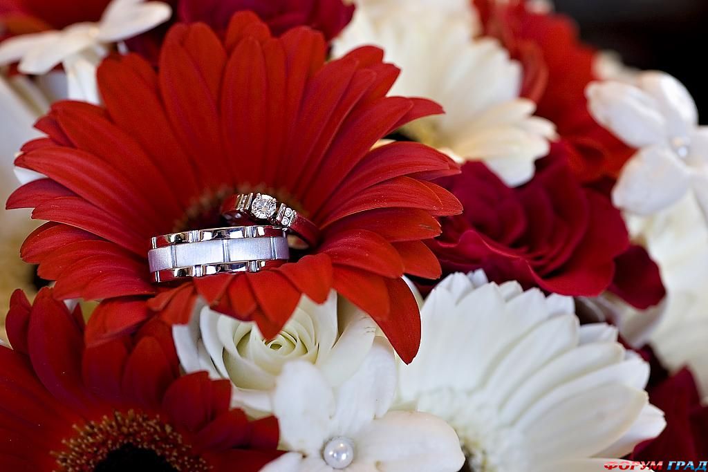 Кольца любви