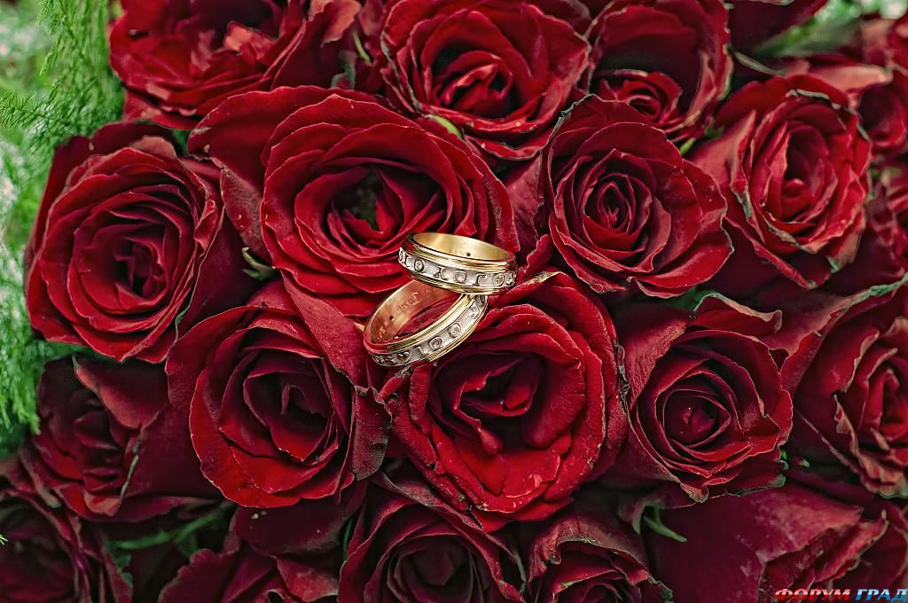 Кольца любви