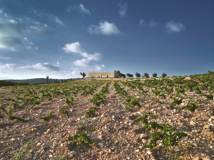 contemporary-winery-design-lebanon-13