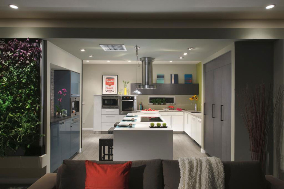 eco-friendly-home-in-denver-10