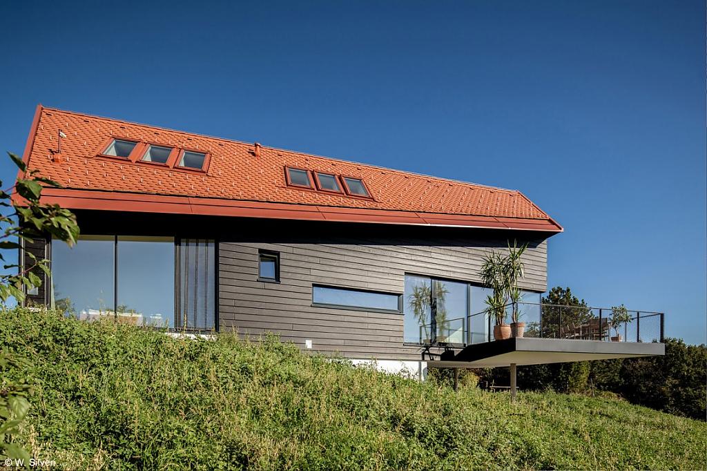 Оригинальное сочетание черного фасада и ярко-оранжевой крыши