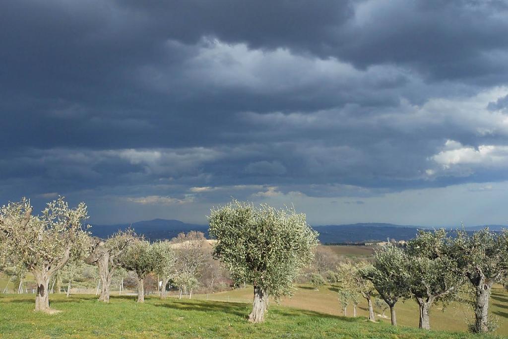 le-marche-villa-2