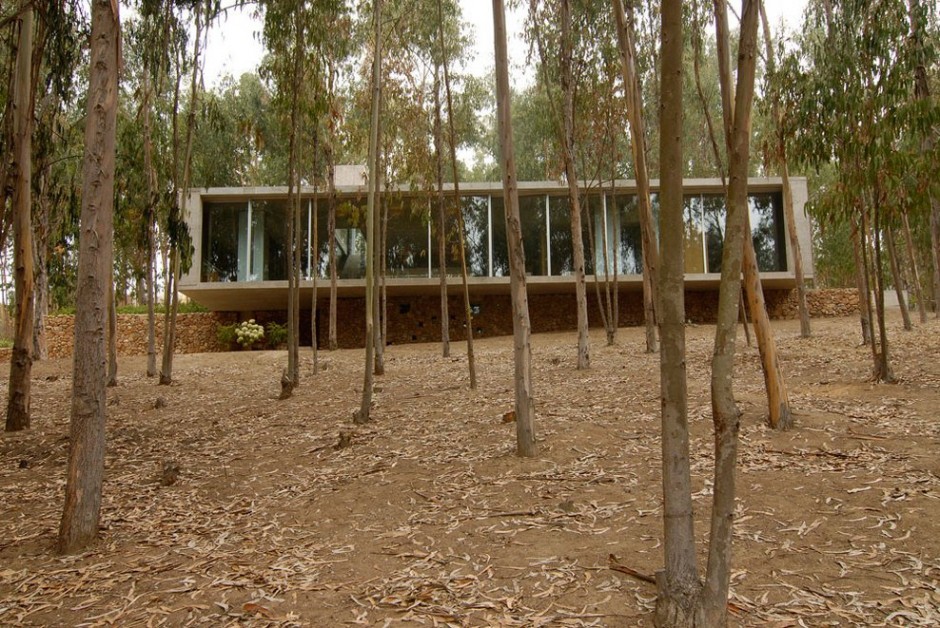 omnibus-house-in-chile-6