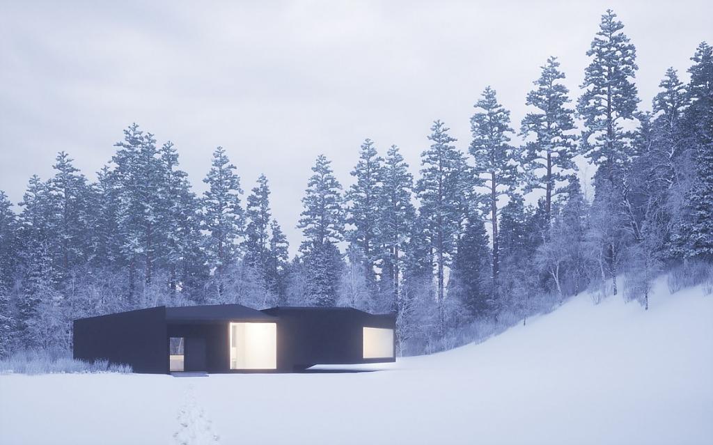 twins-houses-03
