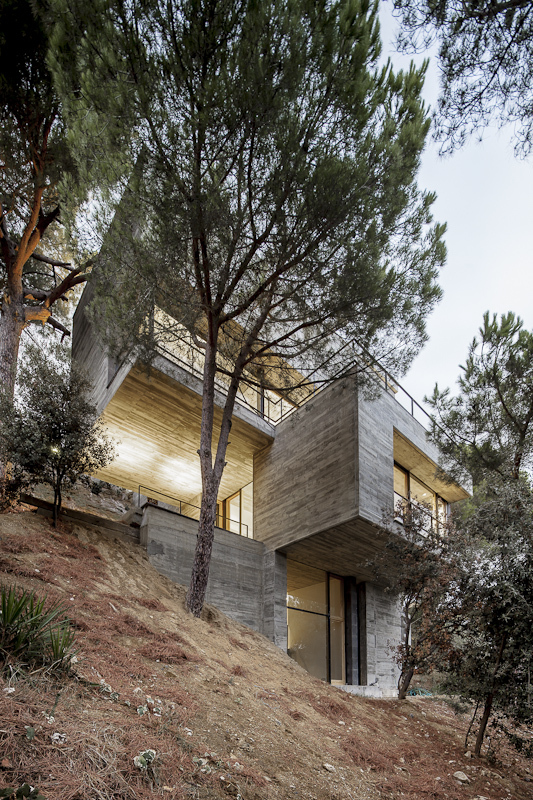 neutral-house-characterised-11