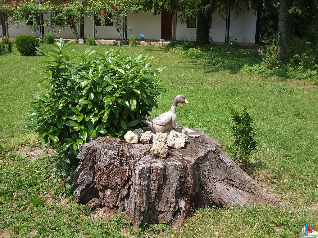 соколски монастырь