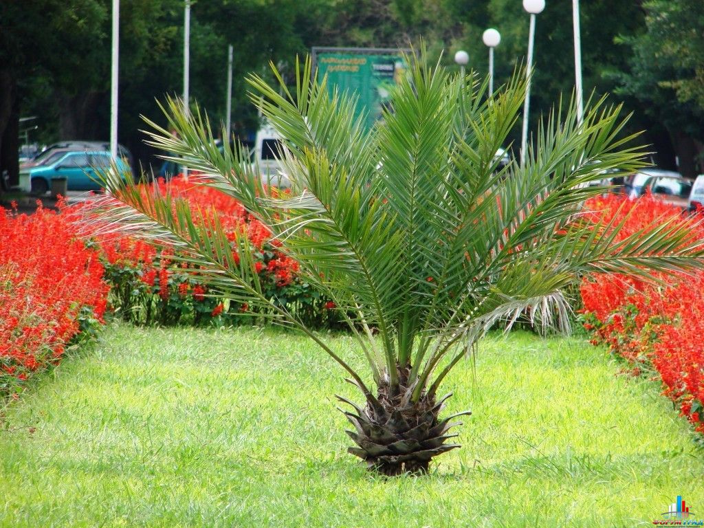 Город Бургас