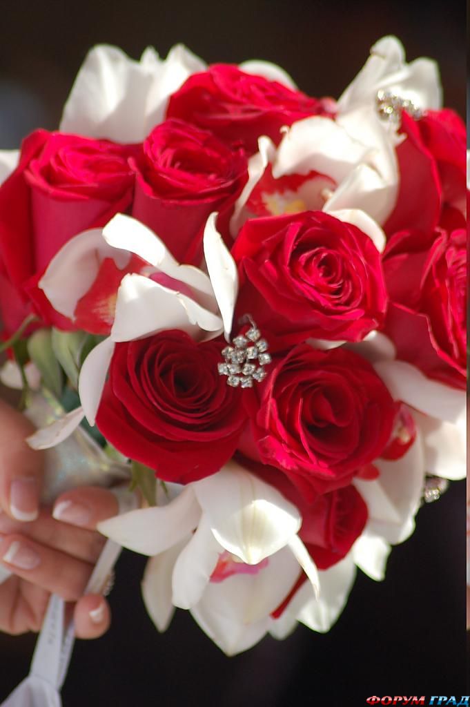 gorgeous-bouquet-16